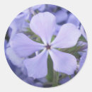 Recherche de flottement autocollants Bleu