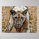 Recherche de african animals posters Lion