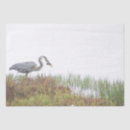Recherche de milieux photographie Animaux