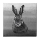 Recherche de dessin noir et blanc carreaux Lapin
