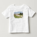 Recherche de mégalithes tshirts Mégalithique