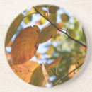 Recherche de automne photographie Feuille