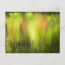 Recherche de lac miroir cartes postales Californie