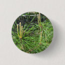 Recherche de aiguilles de badges Arbre
