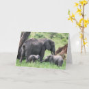 Recherche de pachydermes vœux cartes Faune