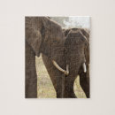 Recherche de éléphant africain puzzles Faune