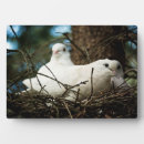 Zoek naar dieren fotoplaat Natuur