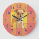 Recherche de chiihuahuas horloges Mignon