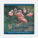 Recherche de flamboyant magnets Flamants