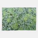 Recherche de culture cuisine linges Légumes