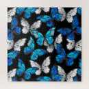 Recherche de motif papillon puzzles Transparent