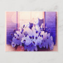 Recherche de digital cartes postales Chat