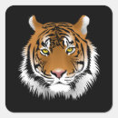Zoek naar tijger gezicht stickers Ogen