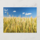 Zoek naar landelijke briefkaarten In openlucht