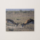 Recherche de namibie puzzles Nature