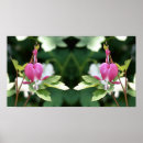 Zoek naar roze harten posters Abstract