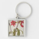 Recherche de amaryllis porteclés Botanique
