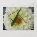 Recherche de mère nature posters Insecte