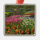Recherche de jacinthe ornements Jardin