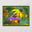 Recherche de rudbeckias cartes postales Nature
