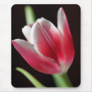 Zoek naar tulpen muismatten Floreel