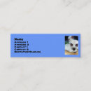 Recherche de chatons cartes visite Animaux