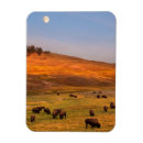 Recherche de de lune refrigérateur magnets Colline