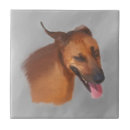 Recherche de anniversaire de chiot carreaux Dog