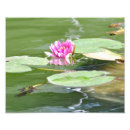 Recherche de protection de lis art Lac
