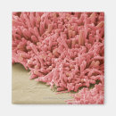 Recherche de bactéries magnets Horizontal