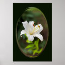 Recherche de lièvres posters Peinture