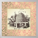 Recherche de ruches antiques Nature