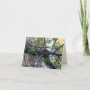 Zoek naar leeg nest kaarten Vogel