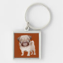 Zoek naar schattige pug sleutelhangers Puppy
