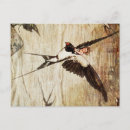 Zoek naar zwaluw vogel briefkaarten Fantasie