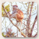 Zoek naar structuur onderzetters Natuur