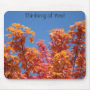 Recherche de arbres feuille tapis souris Nature