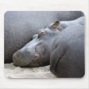 Recherche de hippopotames tapis souris Nature