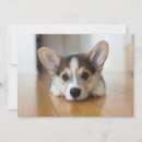 Recherche de puppy vœux cartes Canine