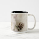 Recherche de intégrale tasses Vertical