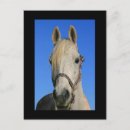 Recherche de nuages blancs cartes postales Campagne