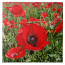 Recherche de de jour carreaux Pavot