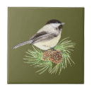 Zoek naar cute animal tegels Wilde dieren