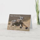 Recherche de suricate vœux cartes Animal