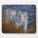 Recherche de yeux bleus tapis souris Faune
