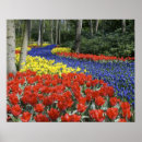 Zoek naar keukenhof tuin posters Bloem