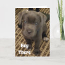 Zoek naar kus verjaardagskaarten Vrouw