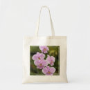 Recherche de phalaenopsis Fleurs