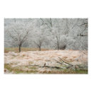 Recherche de tempêtes posters Glace