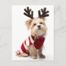 Recherche de noël de terrier photographie Vertical